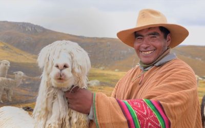 Fair Trade: Building a More Ethical and Sustainable Future