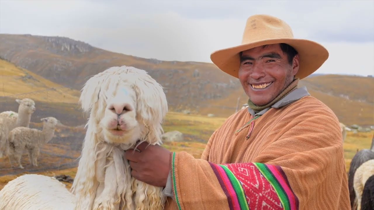 Fair Trade: Building a More Ethical and Sustainable Future